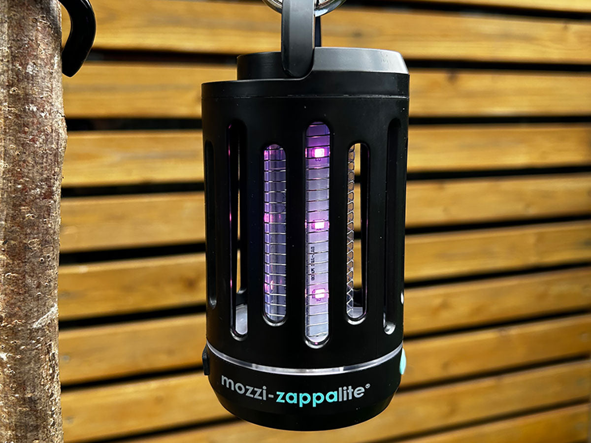 Wolf Mozzi Zappa Lite