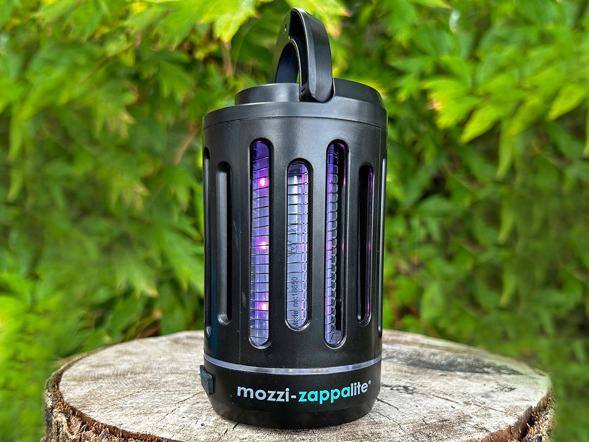 Wolf Mozzi Zappa Lite