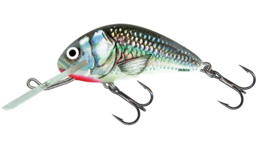 Salmo Floating Hornet 4