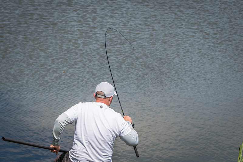 Matrix Aquos Ultra C Feeder Rods