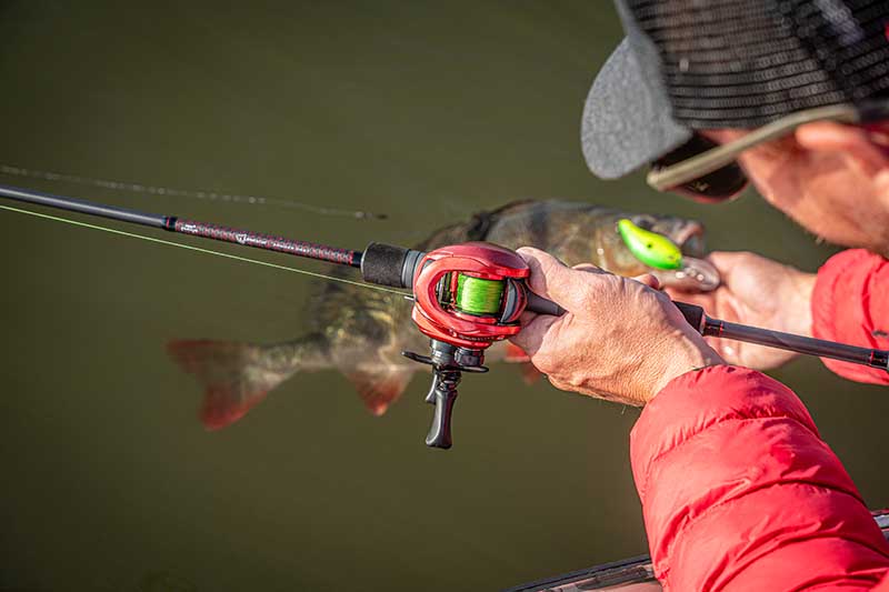 Fox Rage Warrior Zander Cast Rod