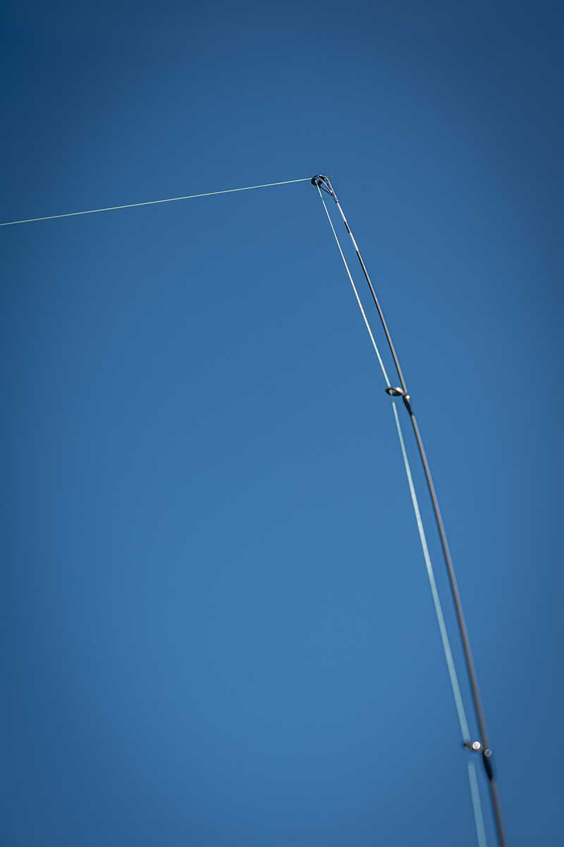 Fox Rage Warrior Dropshot Rod
