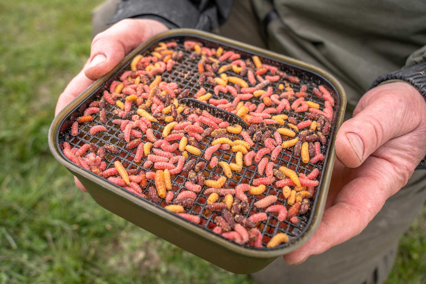 Korum Maggot Tub And Riddle - 2 Pint