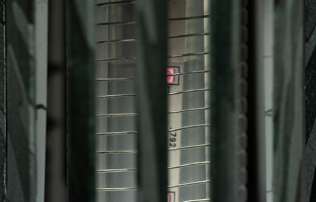 Wolf Mozzi Zappa SE Camo Black