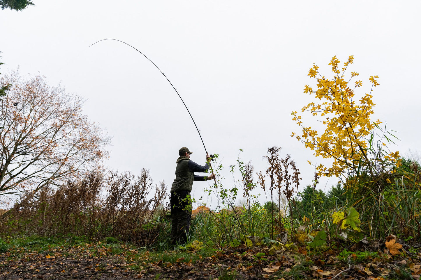 Korum Limitless Feeder Rods