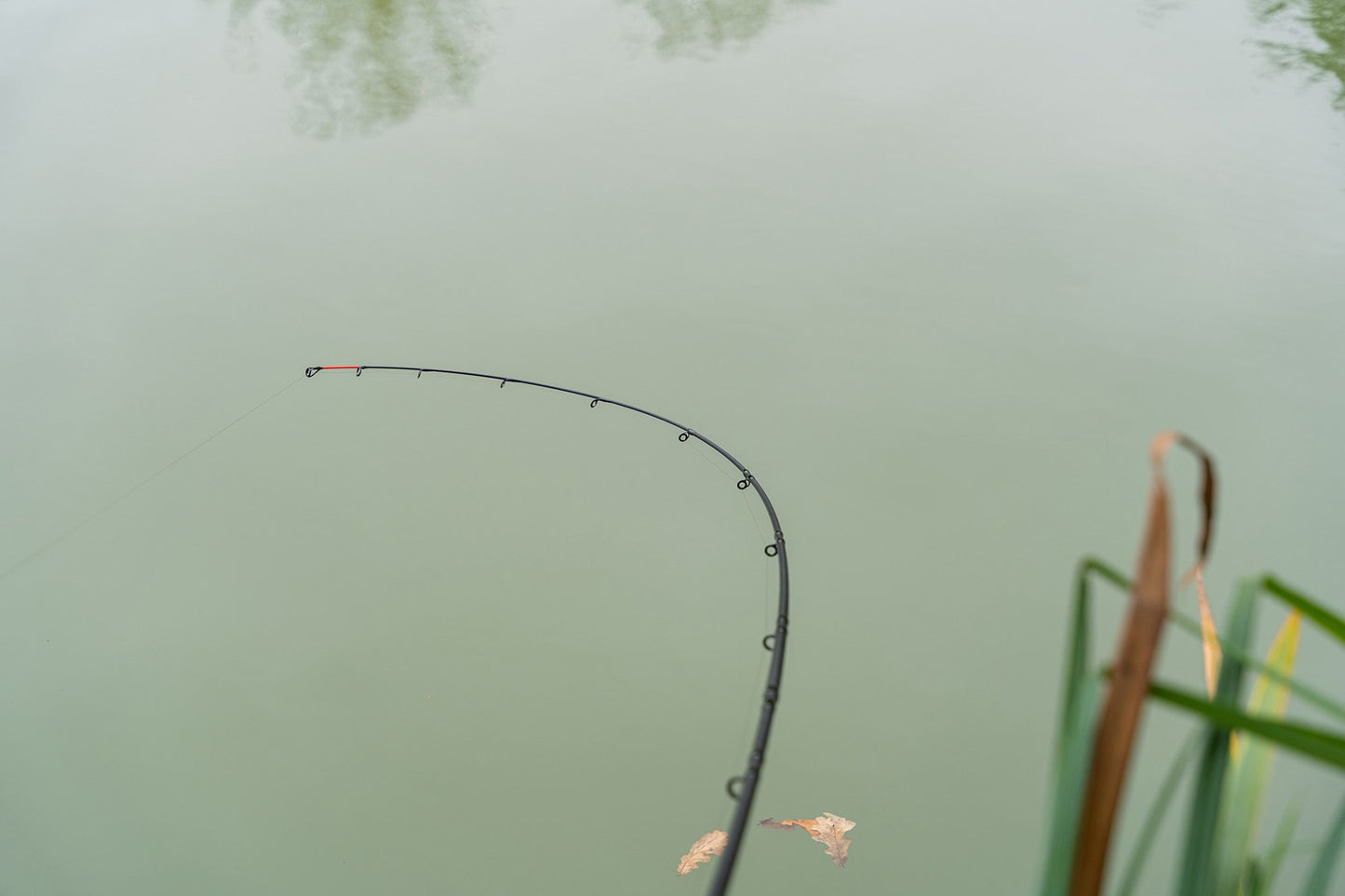 Korum Limitless Feeder Rods