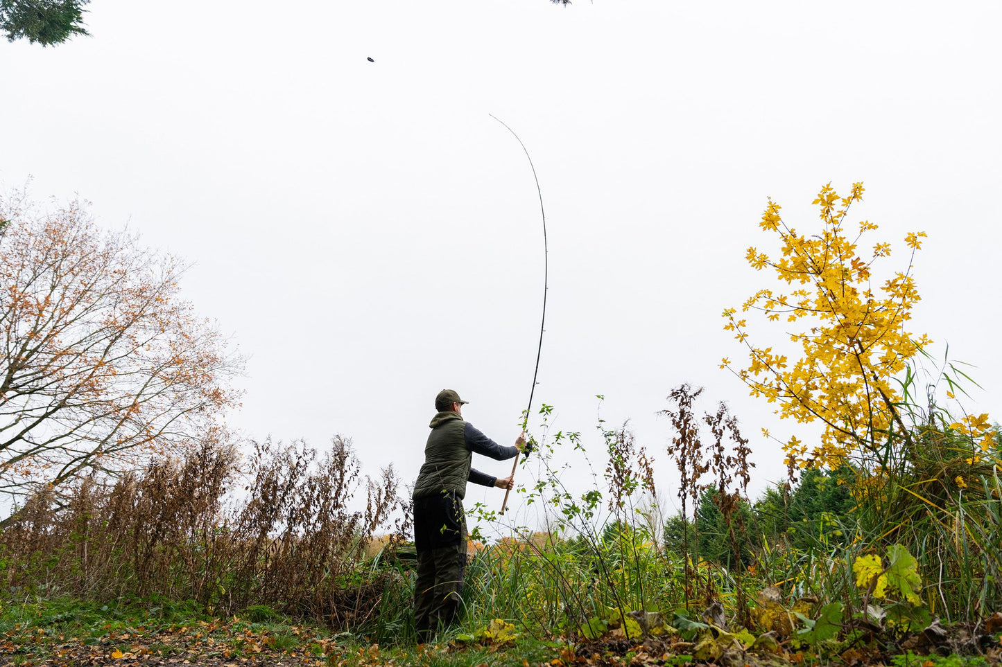 Korum Limitless Feeder Rods