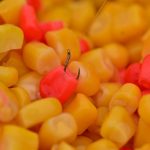 Dynamite Baits Frenzied Sweetcorn