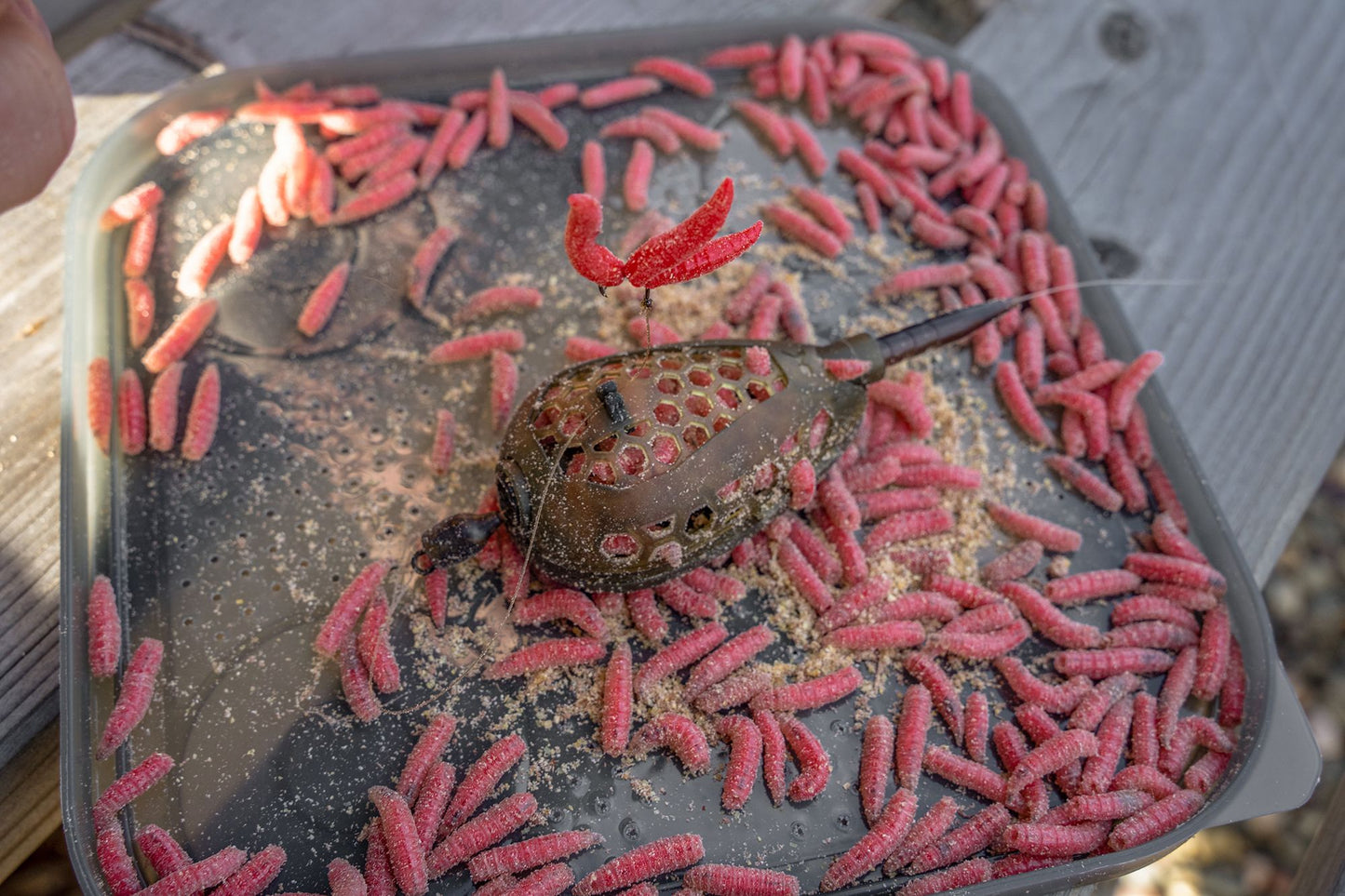 Korum Camo Grub Feeders (2023)