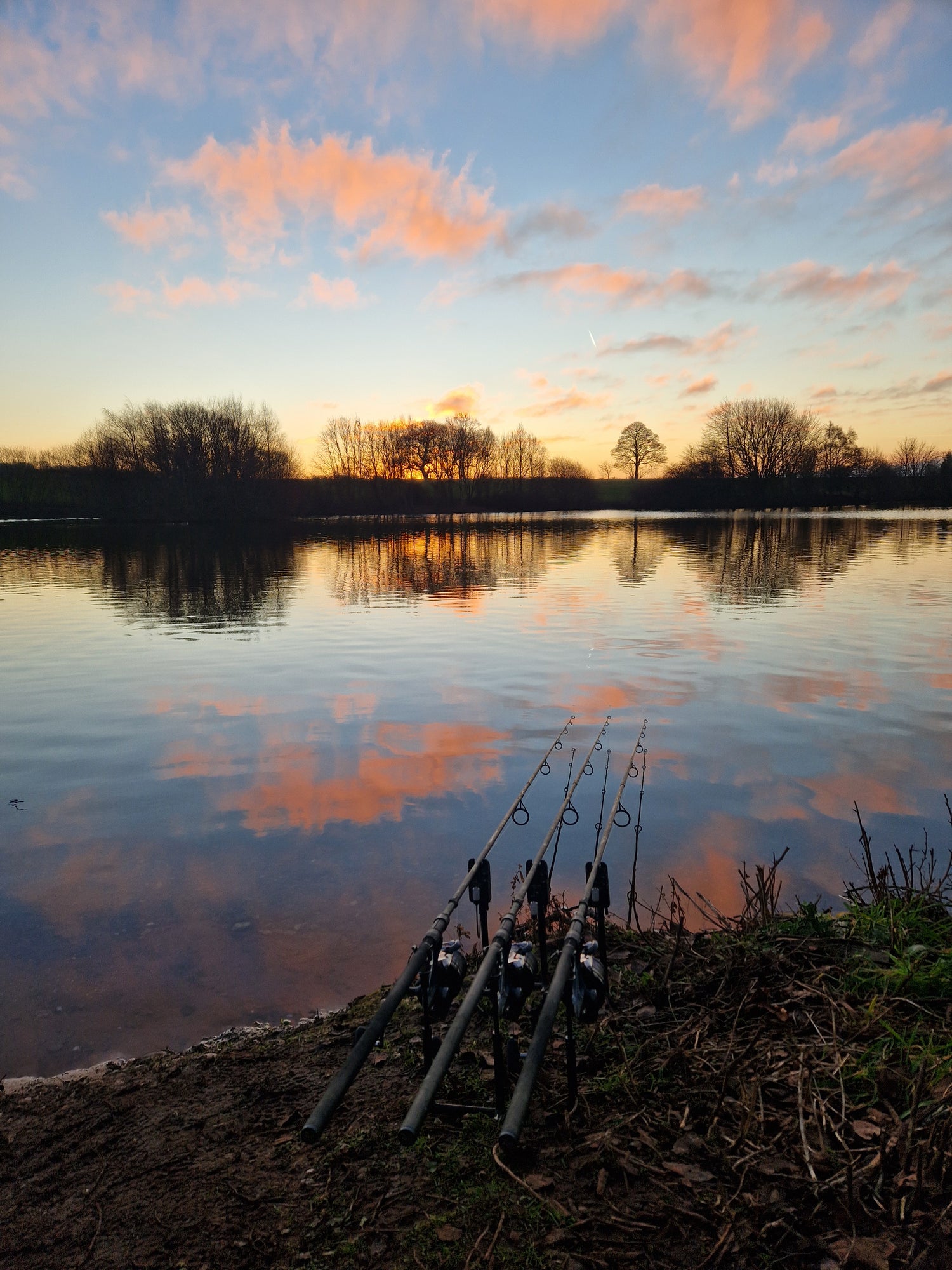 Lowest Price Carp and Specimen Tackle - Ians Fishing Tackle