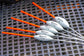 Guru Paste Floats