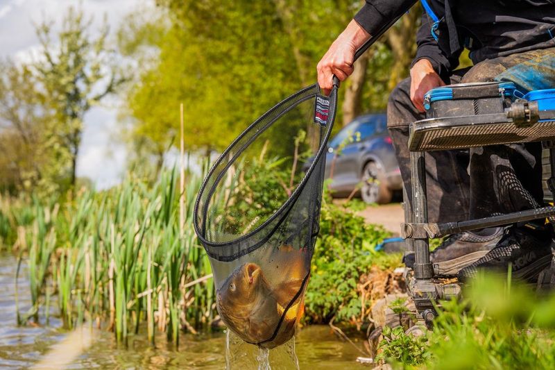Preston Innovations Carbon Hair Mesh Landing Nets