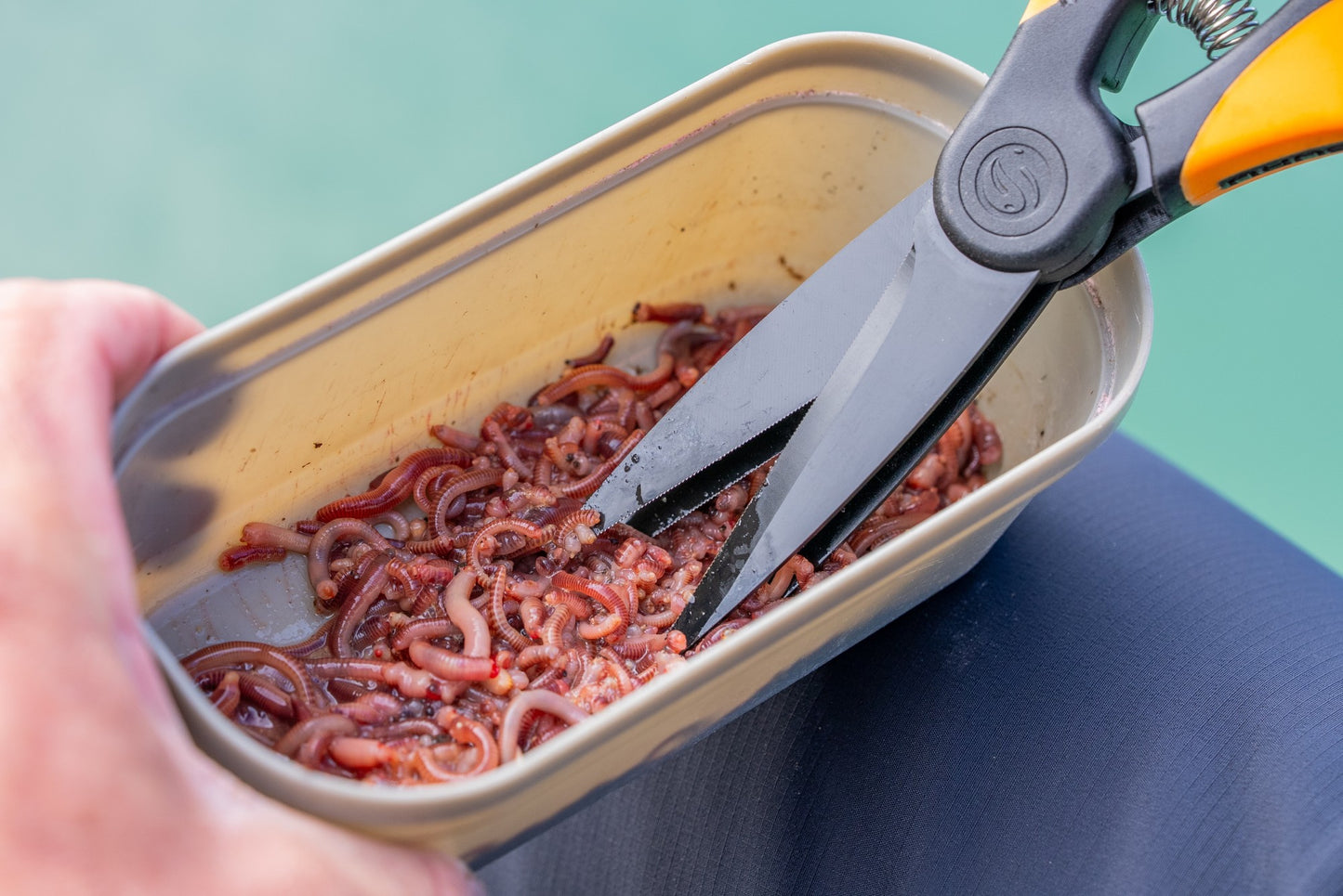 Guru Worm Scissors