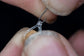 Preston Innovations Hookable Bait Bands