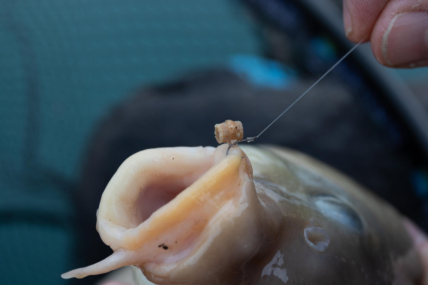 Preston Innovations Hookable Bait Bands