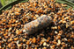 Dynamite Baits Mixed Particles