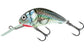 Salmo Floating Hornet 4