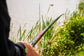 Preston Innovations Dura Carp 800 8m Pole