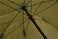 Zebco Olive Green Brolly 2.2m