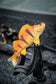 Fox Rage Ultra-Realistic Replicant - Golden Perch