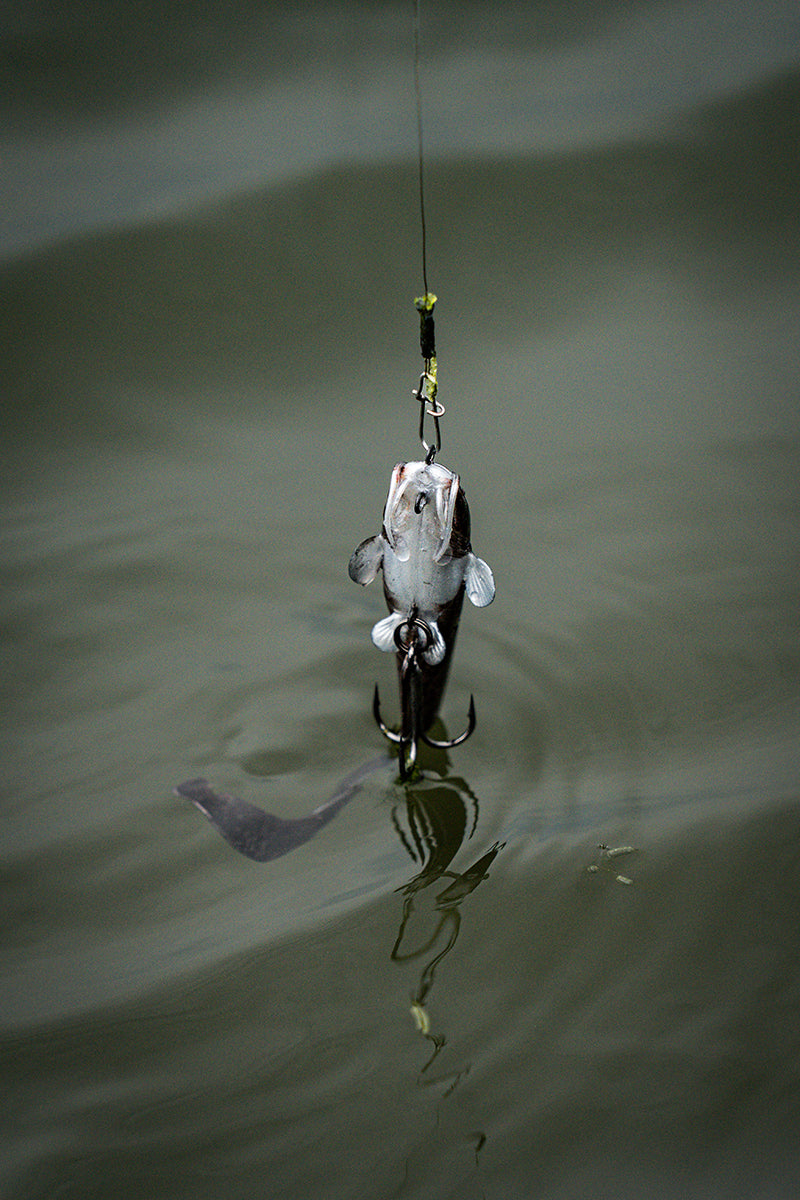 Fox Rage Ultra-Realistic Replicant - Catfish