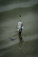 Fox Rage Ultra-Realistic Replicant - Catfish