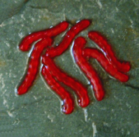 Enterprise Artificial Bloodworm