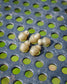 Matrix Hooklength Beads