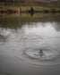 Matrix Plopper Pole Floats