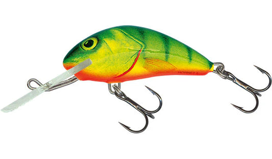 Salmo Floating Hornet 5