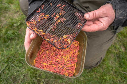 Korum Maggot Tub And Riddle - 2 Pint