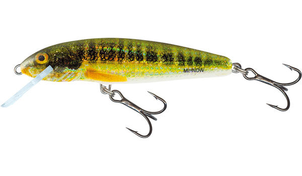 Salmo Minnow 5cm