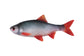 Fox Rage Ultra Natural Fillets