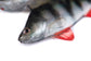 Fox Rage Ultra Natural Fillets