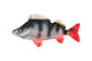 Fox Rage Ultra Natural Fillets