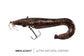 Fox Rage Ultra-Realistic Replicant - Catfish