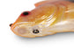 Fox Rage Ultra-Realistic Replicant - Golden Perch