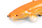 Fox Rage Ultra-Realistic Replicant - Golden Catfish