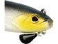Westin Bullteez Curltail R2F Sinking 16cm 35g