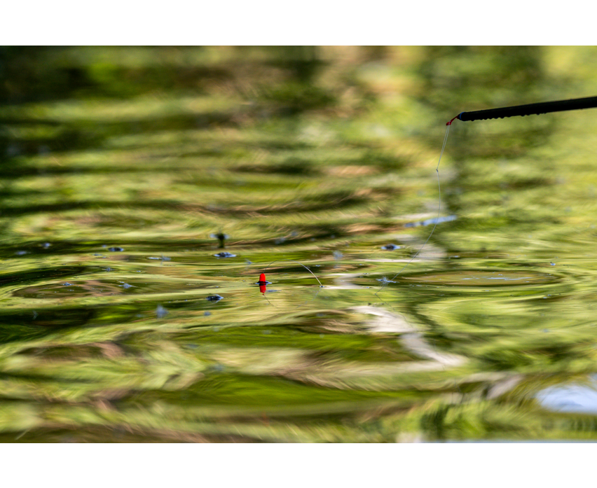 Preston Innovations F1 Dibber Pole Floats