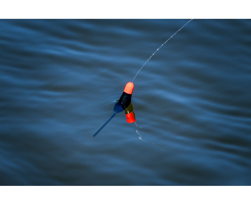 Preston Innovations F1 Dibber Pole Floats