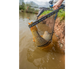 Preston Innovations Monster XS Lift Net