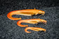 Fox Rage Ultra-Realistic Replicant - Golden Catfish