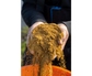 Sonubaits Supercrush Meaty Mussel Mix