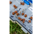 Sonubaits Mega Carp Feed Pellets