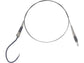 Westin Float Rig Single Hook