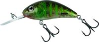 Salmo Floating Rattlin' Hornet 5.5