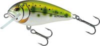 Salmo Sinking Butcher 5