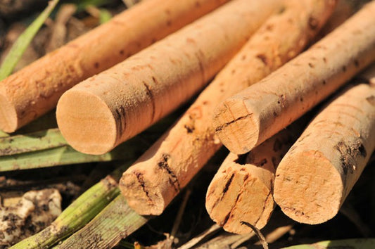 Korda Bait Drill Spare 6mm and 8mm Cork Sticks