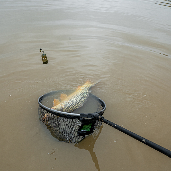 Korum Phase 1 Spoon Net - 18 inch - Ians Fishing Tackle – Ian's Fishing  Tackle